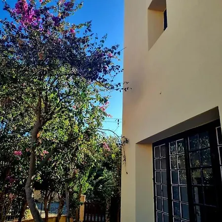 Villa Au Bord De La Acces Direct A La Linguizzetta