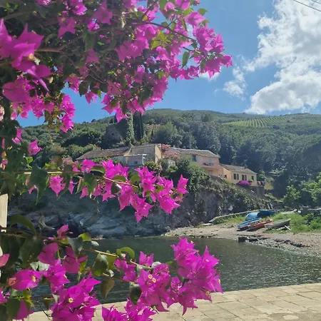 Villa Au Bord De La Acces Direct A La